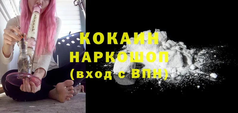 kraken ONION  сколько стоит  Пошехонье  Cocaine Перу 