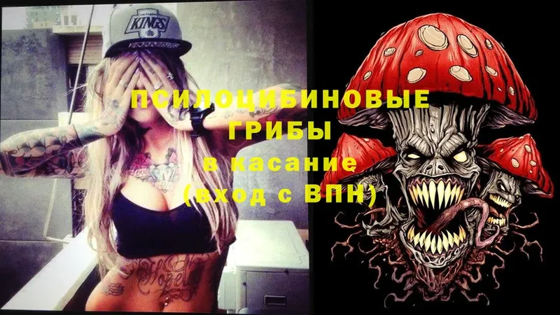 Псилоцибиновые грибы мицелий  shop официальный сайт  Пошехонье 